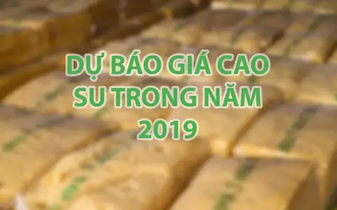 Dự báo giá cao su trong năm 2019