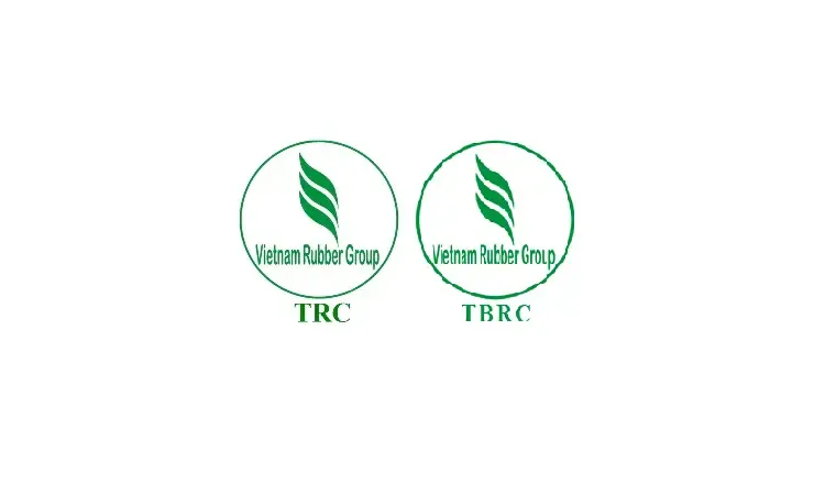 Bảng giá mủ cao su tham khảo tại Tây Ninh
