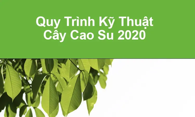 Hội nghị công bố Quy trình kỹ thuật cây cao su 2020 do Tập đoàn Công nghiệp Cao su Việt Nam tổ chức