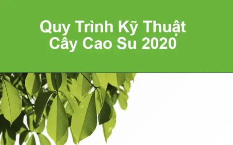 Hội nghị công bố Quy trình kỹ thuật cây cao su 2020 do Tập đoàn Công nghiệp Cao su Việt Nam tổ chức