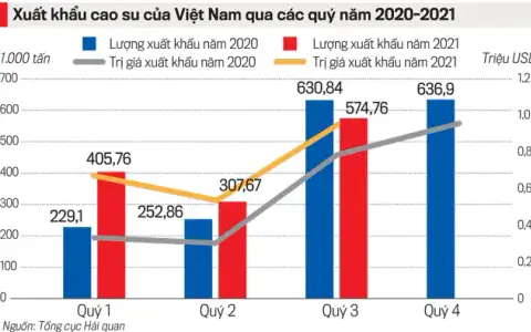 Biểu đồ lượng xuất khẩu mủ cao su Việt Nam các quý 2020 - 2021