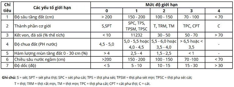 Bảng phân loại mức độ giới hạn 7 yếu tố đất trồng cây cao su theo hạng I, II, III, IV
