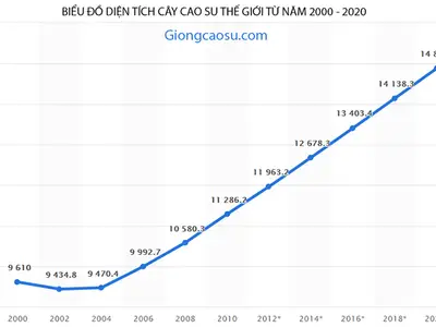 Biểu đồ diện tích trồng cây cao su thế giới giai đoạn 2000 - 2020