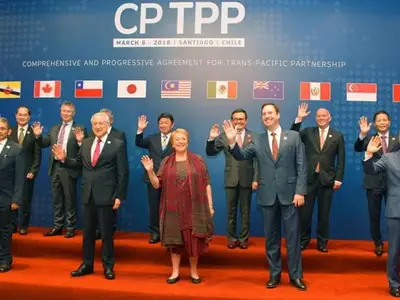Minh họa Hiệp định CPTPP ảnh hưởng tới ngành gỗ Việt Nam