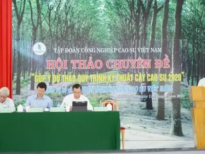 Đại biểu tham dự hội nghị phổ biến Quy trình kỹ thuật cây cao su 2020