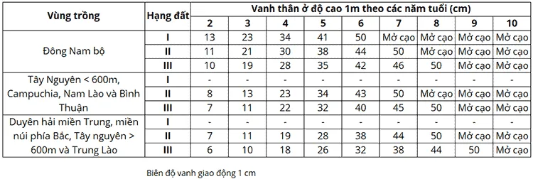 Bảng tiêu chuẩn vanh thân thời gian kiến thiết cơ bản (KTCB) cây cao su theo từng năm tuổi