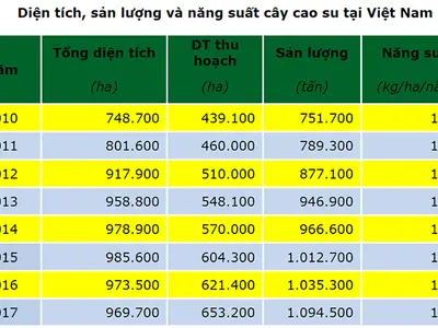Diện tích, sản lượng và năng suất cây cao su tại Việt Nam