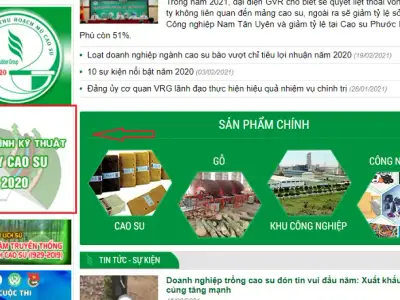 Tài liệu Quy trình kỹ thuật cây cao su 2020 do VRG ban hành