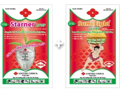 Thuốc trị nấm Sumi-Eight 12,5WP dùng phòng trị bệnh phấn trắng