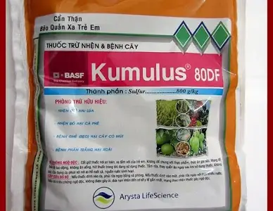 Bột lưu huỳnh hòa tan Kumulus 80WP dùng phòng trị bệnh phấn trắng